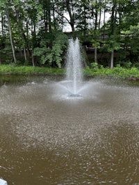 a pond with a fountain in the middle of it