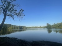 a view of a lake with trees and a blue sky